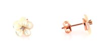 Orecchini Forever Gioielli Donna Orecchini Argento in Argento Madreperla FGOR00418 - FGOR00418